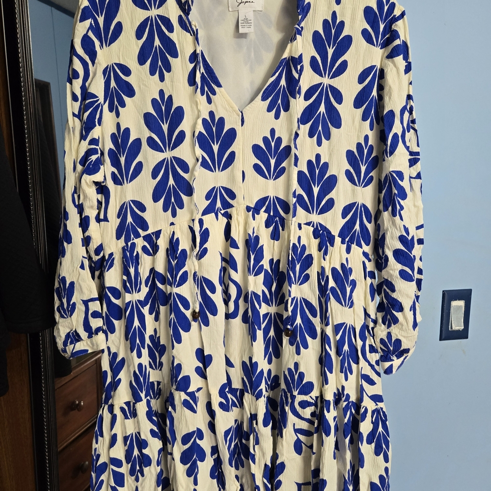 Japna Blue and White Maxi Dress